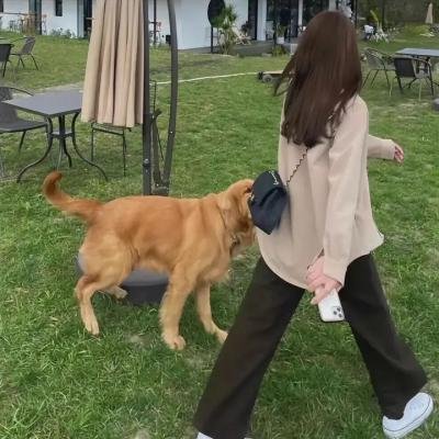 不公正世界